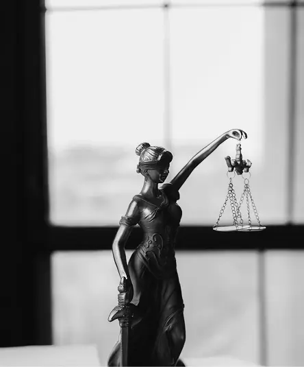 We use our expertise to your advantage